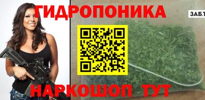 гидропоника Камышлов