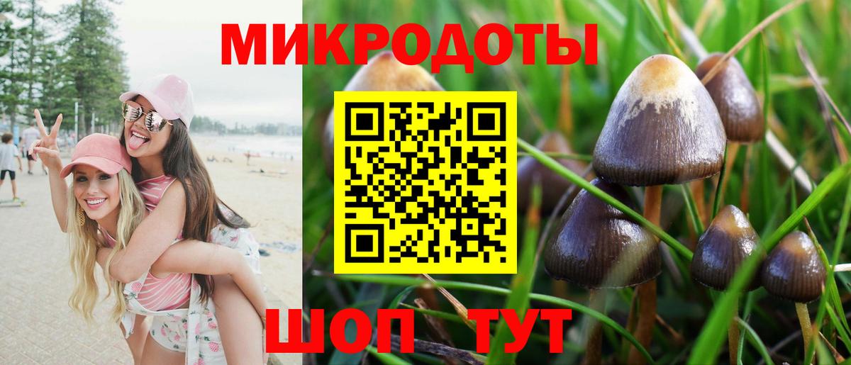 Кувандык  Псилоцибиновые грибы мицелий  Галлюциногенные грибы мицелий  Вход с VPN 